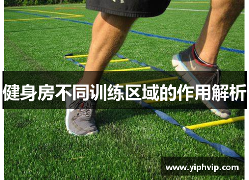 健身房不同训练区域的作用解析