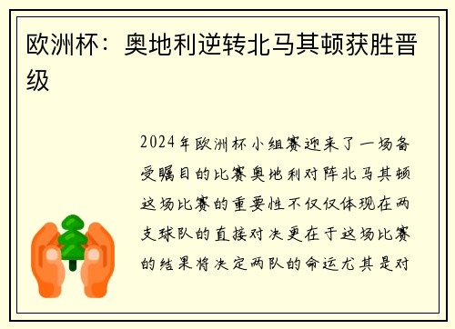 欧洲杯：奥地利逆转北马其顿获胜晋级
